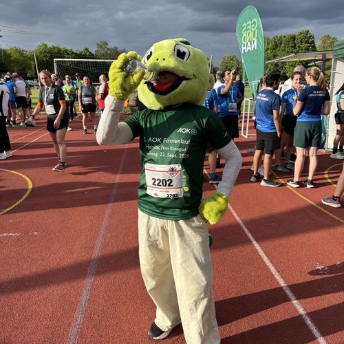 3. AOK Firmenlauf Bühl 2026