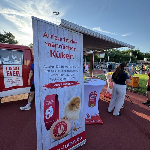 2. AOK Firmenlauf Bühl 2025