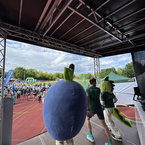 3. AOK Firmenlauf Bühl 2026