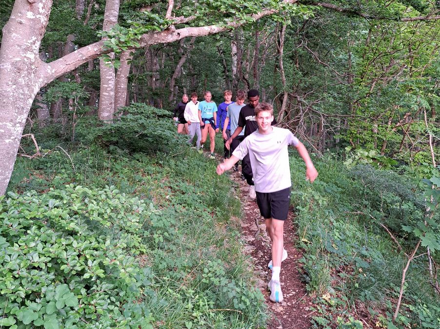 Orientierungs-Walking der Werfergruppe